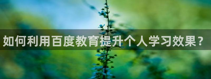 安信12是正规还是仿