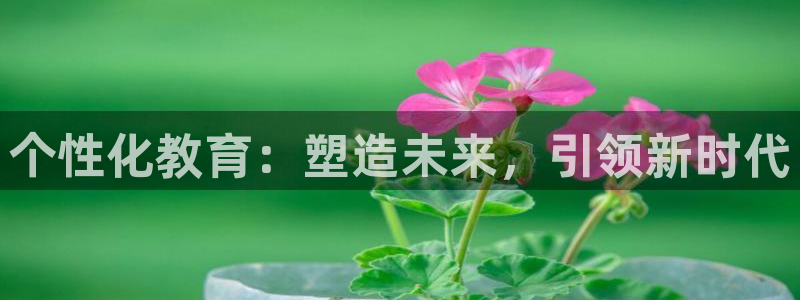 安信122853179Z空间