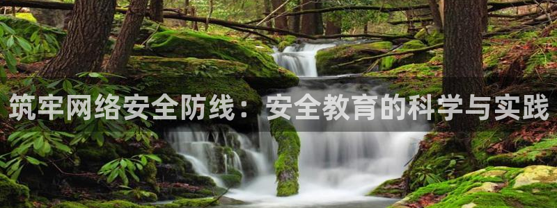 安信12怎么下载