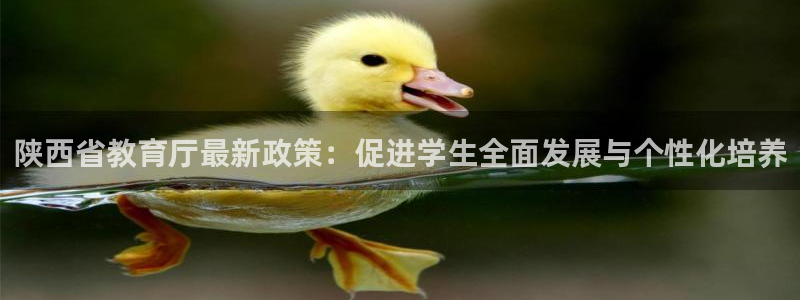 安信12是什么平台