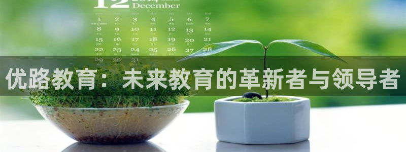 安信12是什么软件