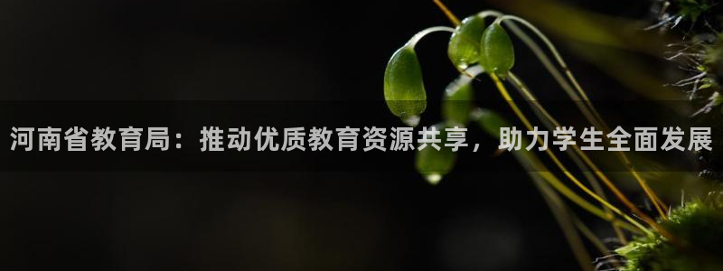 安信12是正轨网站吗