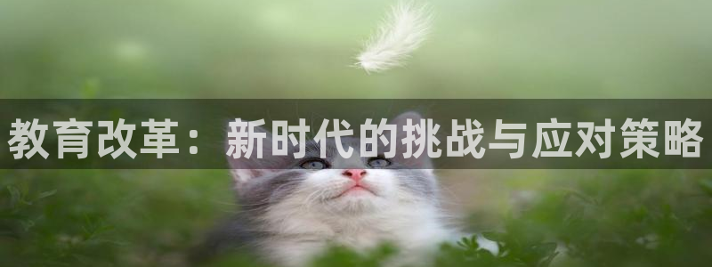 安信12位数资金号