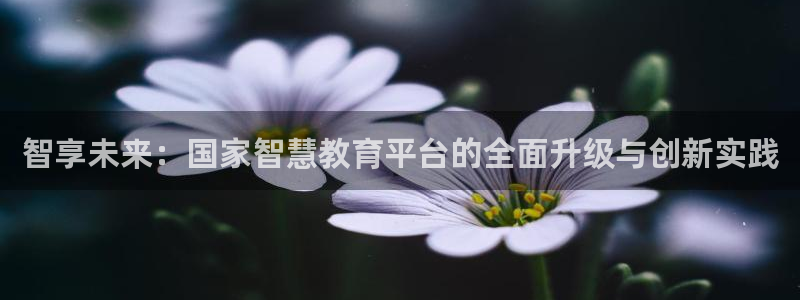 安信12平台的网址