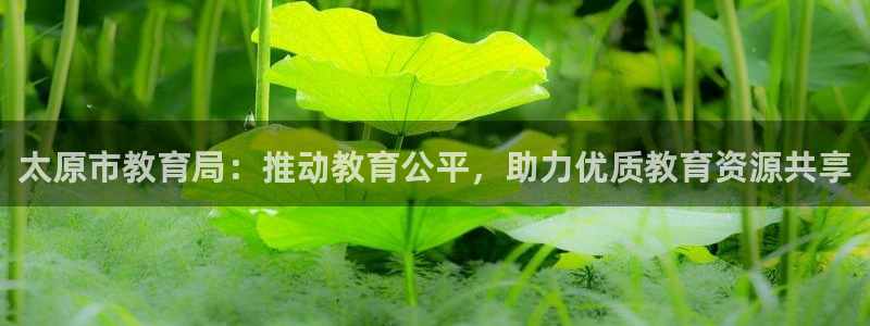 安信12周年庆典