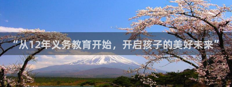 安信12平台怎么样