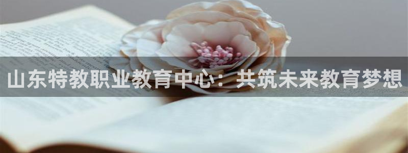 安信12专用挂机