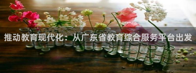 安信证券手机壳12