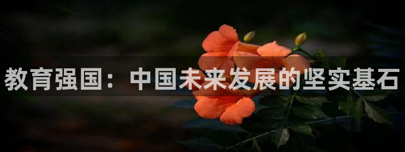 安信12位数资金号