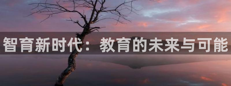 安信12是什么平台