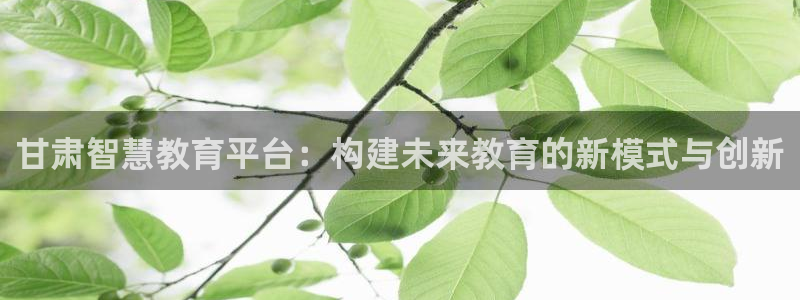安信安盈12最新消息