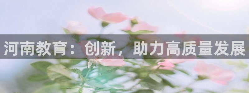 安信12是正规还是仿