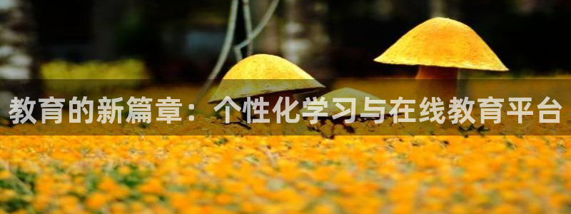 安信12娱乐平台