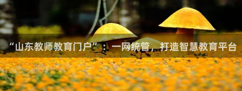 安信12软件介绍