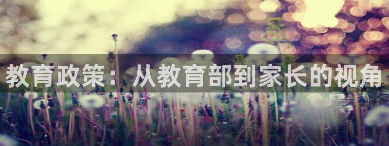 安信12平台介绍