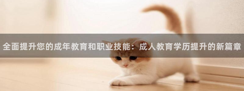 安信12是什么软件